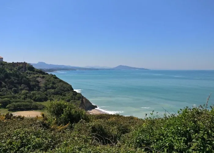 Le Rooftop Des Halles Appartamento *